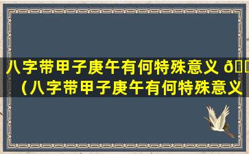 八字带甲子庚午有何特殊意义 🌷 （八字带甲子庚午有何特殊意义呢）